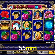 Integração de APIs 55mm